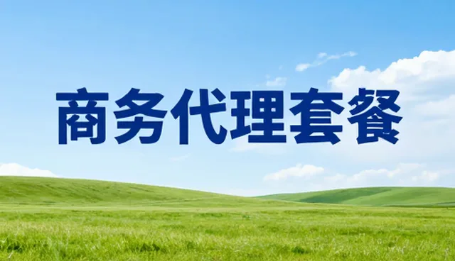 商务代理服务的核心性能与适用场景分析
