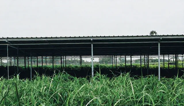 市场调研中数据解读的两种做法及其实际取舍